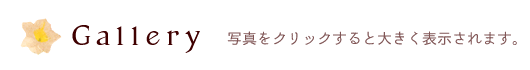 フォトギャラリー 写真をクリックすると大きく表示されます。